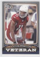 Larry Fitzgerald #/389