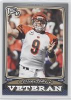 Carson Palmer #/199