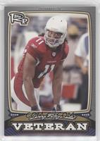 Larry Fitzgerald #/199