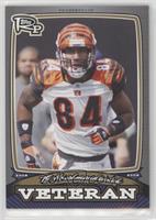 T.J. Houshmandzadeh #/199