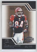 T.J. Houshmandzadeh #/249