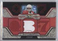 Matt Leinart #/17