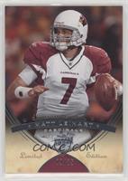 Matt Leinart #/35