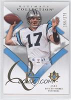 Jake Delhomme #/275