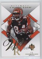 T.J. Houshmandzadeh #/275