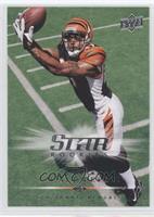 Star Rookies - Andre Caldwell