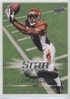 Star Rookies - Andre Caldwell