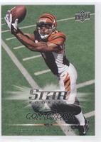 Star Rookies - Andre Caldwell