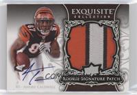 Rookie Signature Patch - Andre Caldwell [EX to NM] #/75