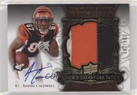 Rookie Signature Patch - Andre Caldwell [EX to NM] #/199