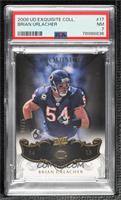 Brian Urlacher [PSA 7 NM] #/75