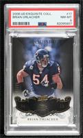 Brian Urlacher [PSA 8 NM‑MT] #/75