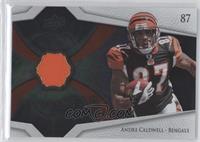 Andre Caldwell