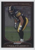 Troy Polamalu