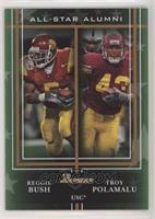 Reggie Bush, Troy Polamalu #/99