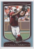 Larry Fitzgerald #/199