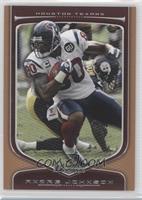 Andre Johnson #/99