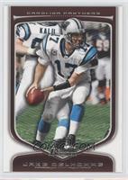 Jake Delhomme #/299