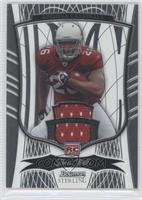 Memorabilia - Chris Wells #/749