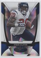 Steve Slaton #/100