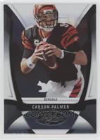 Carson Palmer