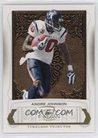 Andre Johnson #/50