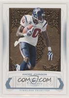 Andre Johnson #/25