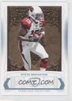 Steve Breaston #/25