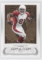 Anquan Boldin #/100