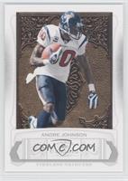 Andre Johnson #/100