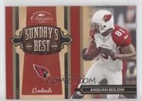 Anquan Boldin #/100