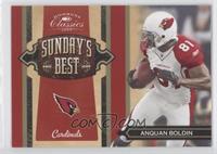 Anquan Boldin #/100