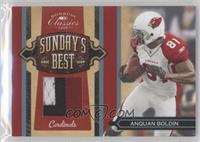 Anquan Boldin #/25