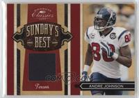 Andre Johnson [EX to NM] #/299