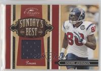 Andre Johnson #/299