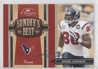 Andre Johnson #/250