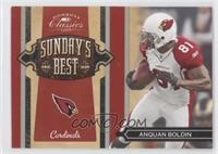 Anquan Boldin #/250