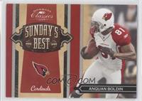 Anquan Boldin #/250