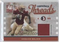 Anquan Boldin #/299