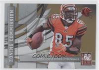 Chad Ochocinco #/899