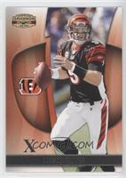 Carson Palmer #/250