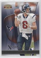 Matt Schaub #/250