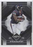 Steve Slaton #/399