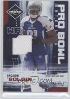 Anquan Boldin #/100