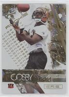 Rookie - Quan Cosby #/49