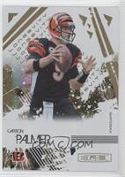 Carson Palmer #/49