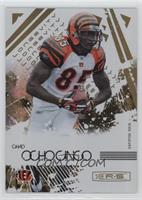 Chad Ochocinco #/49