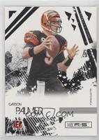 Carson Palmer