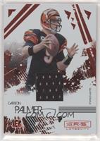 Carson Palmer #/299