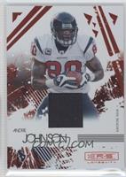 Andre Johnson #/299